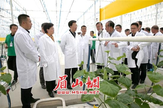 罗佳明一行调研西南智慧农业项目。记者 张忠苹 摄.jpg