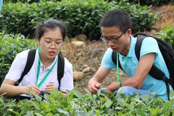 2019星空体育官网登录入口年全国大学生乡村振兴夏令营活动侧记(图5)