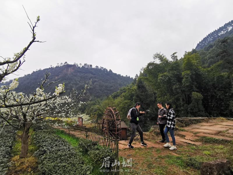 全国金牌导游走进我市幸福古村 直播"幸福模样-眉山网-眉山新闻网