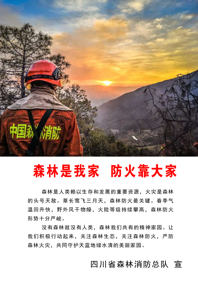 森林防火 公益广告