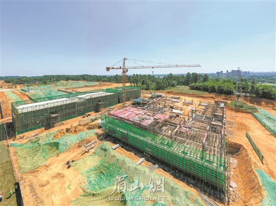 斑布竹产业园百万吨竹材生物质精炼项目建设现场。