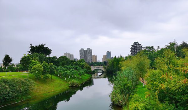 东坡城市湿地公园一角。