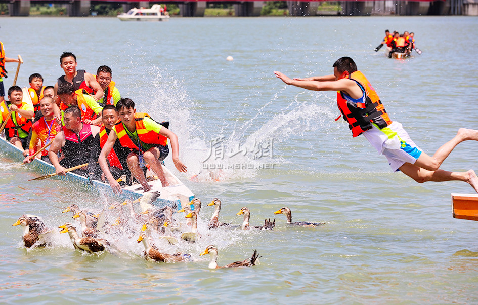 赛龙舟，抢鸭子，眉山队赢了！今天，汉阳坝成了全川最热闹的地方！