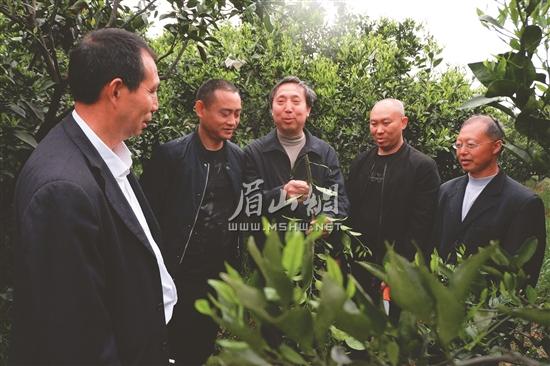 合作社邀请农技专家前来授课。.jpg