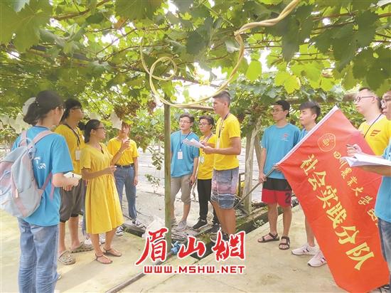 社会实践小分队与当地干部、经营业主、种养大户等互动交流。.jpg