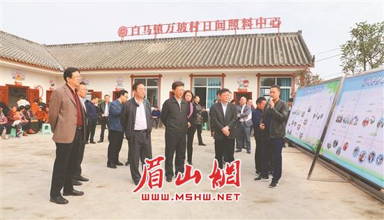 益西达瓦（前排左二）率全省农村养老服务体系建设试点工作现场交流学习组走进东坡区白马镇万坡村。.jpg
