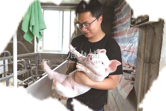 李想展示自己所养的健康猪仔。.jpg