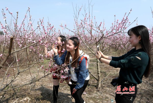 彭山区桃花源里游人乐