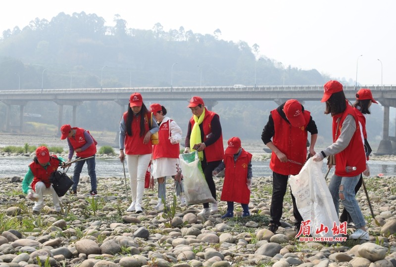 清河护岸！彭山50名志愿者岷江边上捡垃圾500余公斤