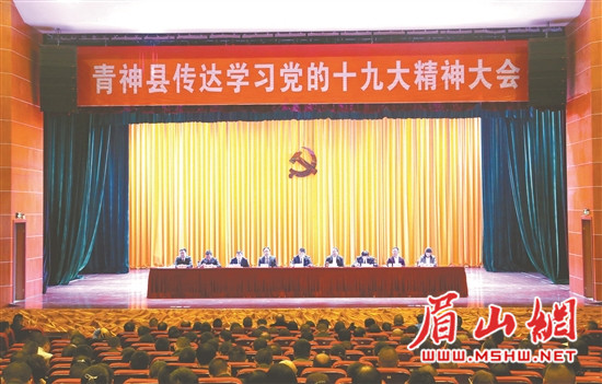 res01_attpic_brief_副本.jpg