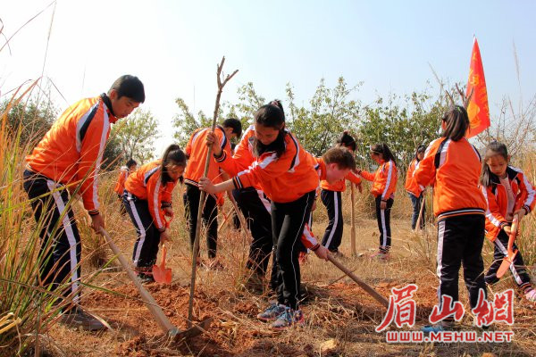 新春添新绿 仁寿县20余万学生义务植树忙