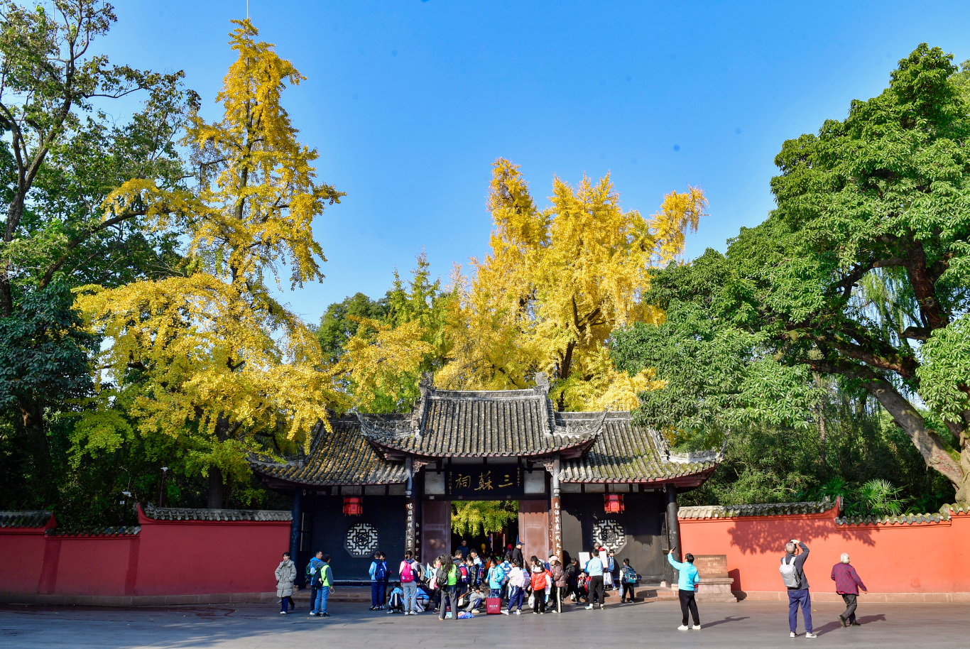 古祠又上“金装”。 眉山日报全媒体记者 廖波 摄于三苏祠.jpg