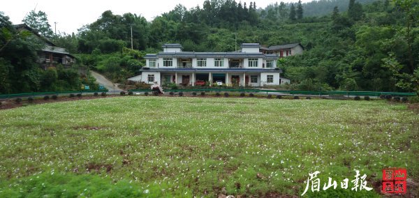 花卉苗圃基地前就是村民新修的小洋房。