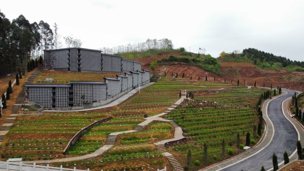 彭山区天寿生态纪念园。