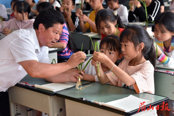  刘敬宗在张场小学引导学生做生活的有心人。