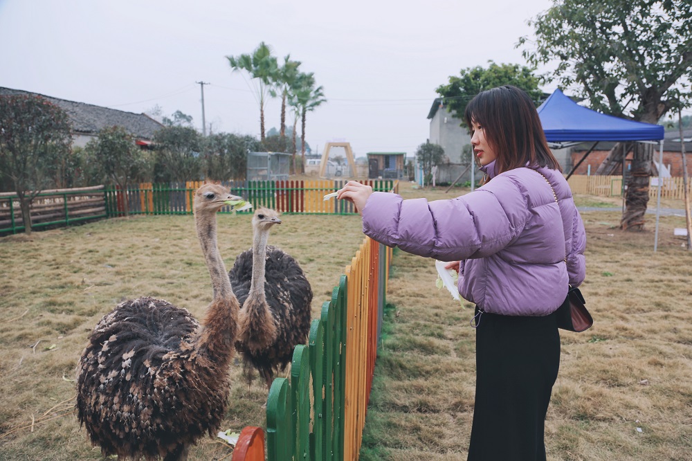 游客在“萌宠乐园”给小动物喂食。.jpg