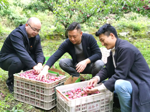 东坡区对口帮扶干部（左一）正在协助种植户将脆红李装箱。