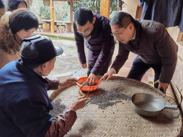  省同城化办调研组调研蒲丹都市现代农业融合发展示范区（资料图）