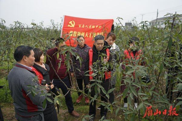  2019年2月，余江洪在洪雅县中保镇开展藤椒春季管理培训。