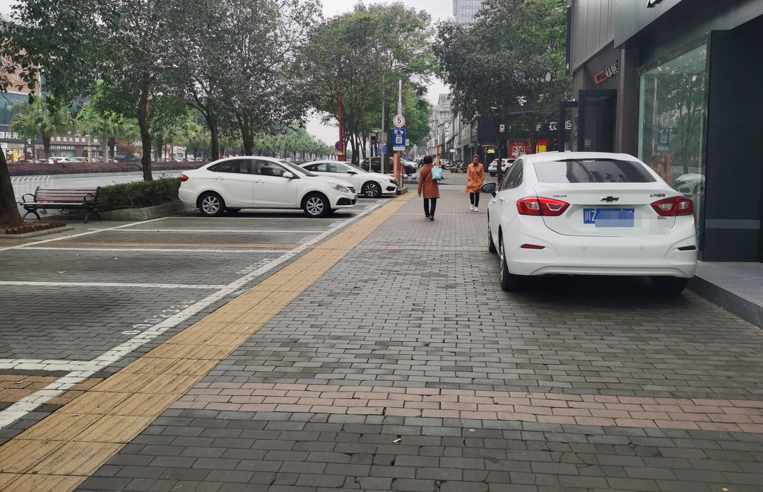 二环东路，停车位就在一旁，车主却将车停在人行道。 (1).jpg