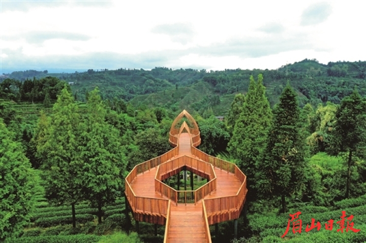 采用高强度竹基纤维复合材料“竹钢”制作的茶客空间“一叶一芽”观景平台。 谢静 摄
