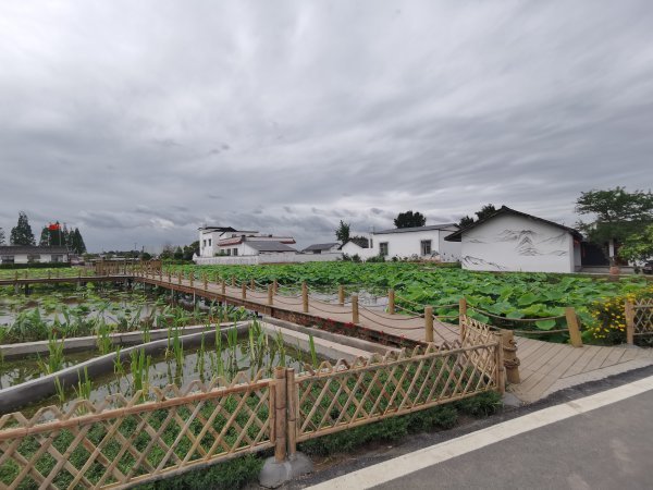 宜居乡村风貌。