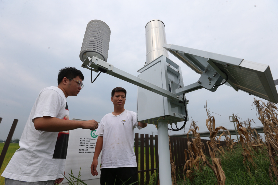 8月14日，"科技小院"的研究生杨永刚和同学彭政菠在检查土壤监测设备。