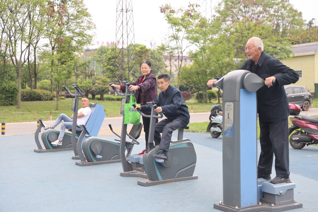 老人们正在公园内的健身器材上锻炼身体。.jpg
