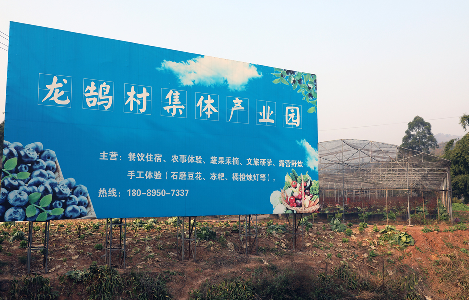 龙鹄村集体经济产业园。