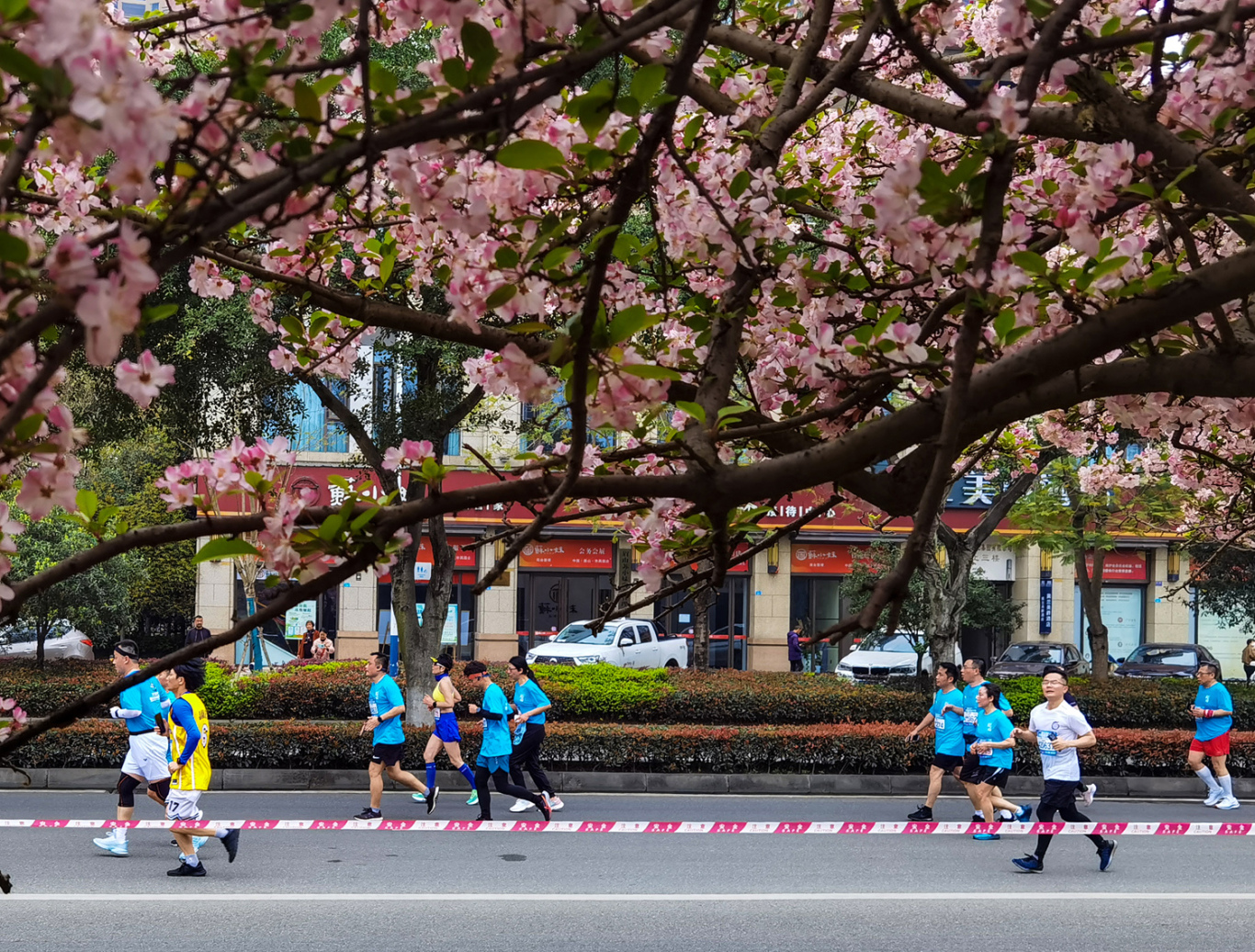 选谁从鲜花盛开的湖滨路跑过。.jpg