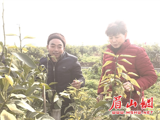 res10_attpic_brief_副本.jpg