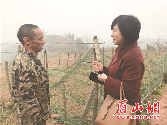 res04_attpic_brief_副本.jpg