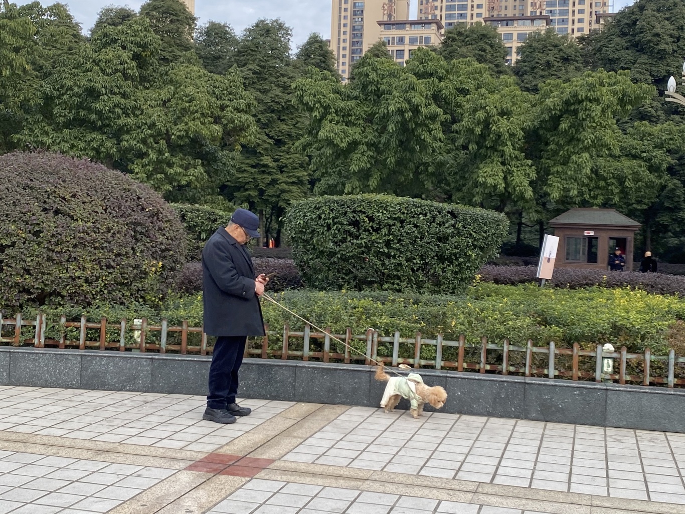 文明养犬，让城市更美好。.jpg