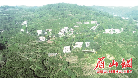 res10_attpic_brief_副本.jpg
